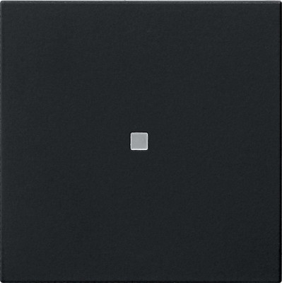 5368005 Gira Накладка управления System 3000 BT