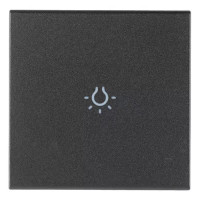 Vimar Клавиша для осевых устройств на 2 модуля символом "лампа", серая, 19132.L Vimar Клавиша для осевых устройств на 2 модуля символом "лампа", серая, 19132.L