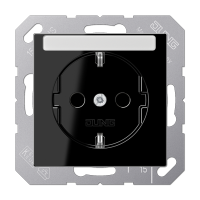 Розетка SCHUKO® 16A 250V с защитой от детей; с полем для надписи; термопласт; черный, A1520BFKINASW