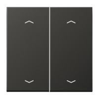 Клавиши для двойной кнопки BCU; антрацит, AL2995MPAN