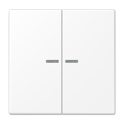 Клавиша для двухклавишных балансирных выключателей с окошком; дюропласт; белый матовый, LS995KO5WWM