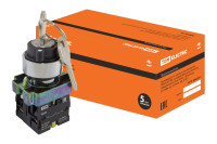 Переключатель BG45 черный 2 положения с ключом 1з+1р TDM Electric, SQ0703-0009