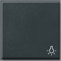 028567 Gira Клавиша с пиктограммой "свет"