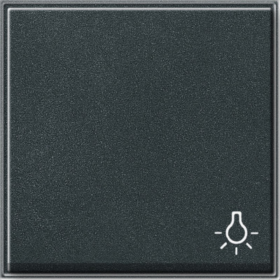 028567 Gira Клавиша с пиктограммой "свет"