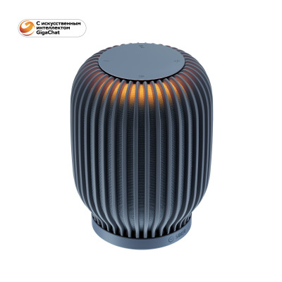 Акустическая система серии SberBoom модели SBDV-00090, цвет темно-серый, торговой марки SBER