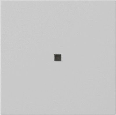 5368015 Gira Накладка управления System 3000 BT