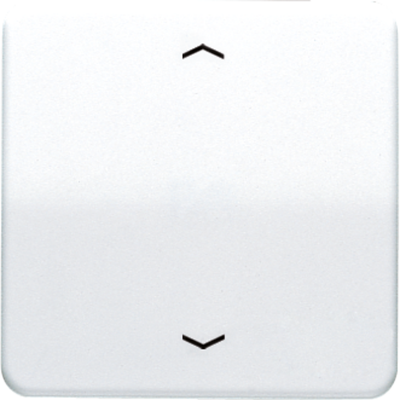 Клавиша для одинарной кнопки BCU; белая, CD590PWW