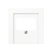 Крышка для ТАЕ и USB розеток, фиксация винтом; термопласт; белый; A500, A569BFPLTWW Крышка для ТАЕ и USB розеток, фиксация винтом; термопласт; белый; A500, A569BFPLTWW