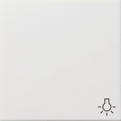 0285112 Gira Клавиша с пиктограммой "свет"