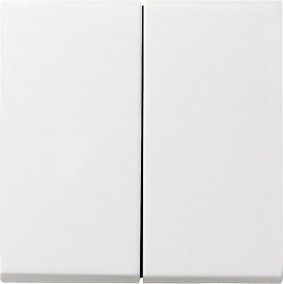 029527 Gira Клавиша двойная