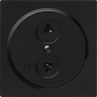 040247 Gira Розетка для стереофонического громкоговорителя