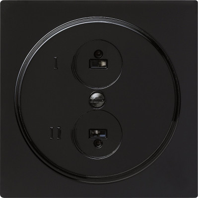 040247 Gira Розетка для стереофонического громкоговорителя