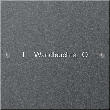 220128 Gira Набор клавиш 1-клав.,  ГРАВИРОВКА