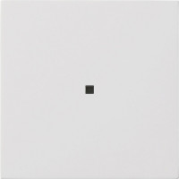 5368112 Gira Накладка управления System 3000 BT