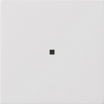 5368112 Gira Накладка управления System 3000 BT