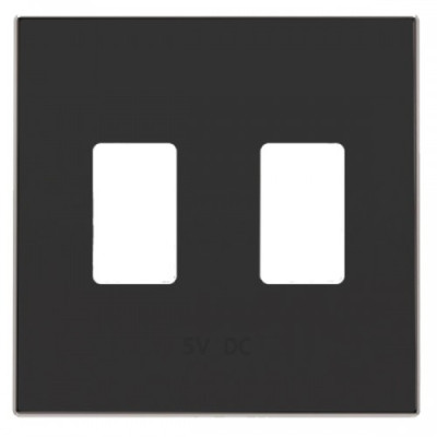 8585.3 NS     Abb NIE  Накладка 2хUSB ЗУ,SKY,чёрн.бархат 2