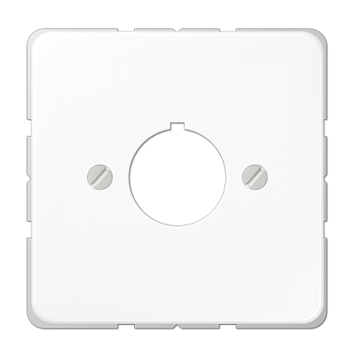 Крышка для установки специальных гнезд ? 22,5 мм; белая, CD564WW