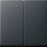 029528 Gira Клавиша двойная