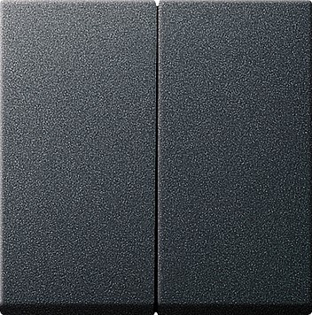 029528 Gira Клавиша двойная