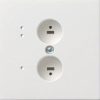 Розетка для стереофонического громкоговорителя