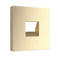 Werkel W1192010/ Накладка для телефонной розетки RJ-11 (шампань рифленый), a051430