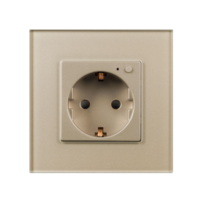 Розетка электрическая с Zigbee управлением SCT-OMALI-EUZB1-PL-GD (240V, 16A, Zigbee) (Arlight, -), 050218