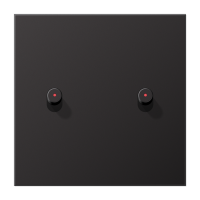 Центральная плата, 1 пост, 2 тумблера, цилиндр c окошком; металл; Dark; серия LS, AL12-5KODR01