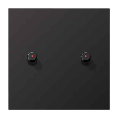 Центральная плата, 1 пост, 2 тумблера, цилиндр c окошком; металл; Dark; серия LS, AL12-5KODR01