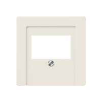 Крышка для ТАЕ и USB розеток, фиксация винтом; термопласт; слоновая кость; A500, A569BFPLT