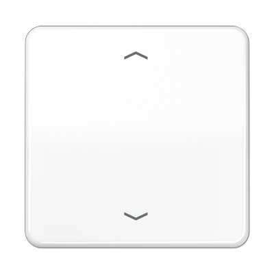 Центральная плата для вставок управления двигателями, CD1700PWW