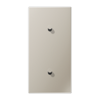 Центральная плата, 2 поста, для вертикальной установки, тумблеры 1+1, конус; металл; нержавеющая сталь; LS1912, ES12-20K1