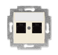 5014H-A51018 17W - Розетка информационная ABB Levit двойная 2хRJ45 категория 5e слоновая кость - 2CHH295118A6017