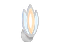 Настенный светодиодный светильник 2700K-6400K 16Вт, AMBRELLA LIGHT, FA453