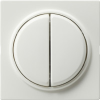 029540 Gira Клавиша двойная