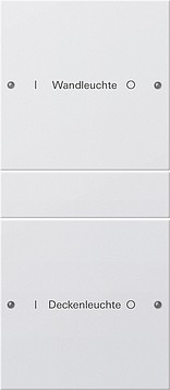 220203 Gira Набор клавиш 2-клав. (1+1),  ГРАВИРОВКА