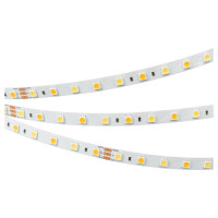 Светодиодная лента RT-B60-10mm 24V White-MIX (14.4 W/m, IP20, 5060, 5m) (Arlight, 14.4 Вт/м, IP20), 025213(1)