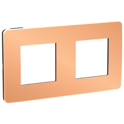 рамка 2-постовая, МЕДЬ/антрацит