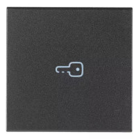 Vimar Клавиша для осевых устройств на 2 модуля символом "ключ", серая, 19132.P Vimar Клавиша для осевых устройств на 2 модуля символом "ключ", серая, 19132.P