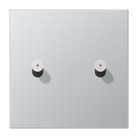 Центральная плата, 1 пост, 2 тумблера, конус c окошком; металл; алюминий; серия LS, AL12-5KOK0