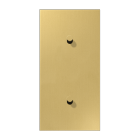 Центральная плата, 2 поста, для вертикальной установки, тумблеры 1+1, конус; металл; латунь classic; LS1912, ME12-20CK25