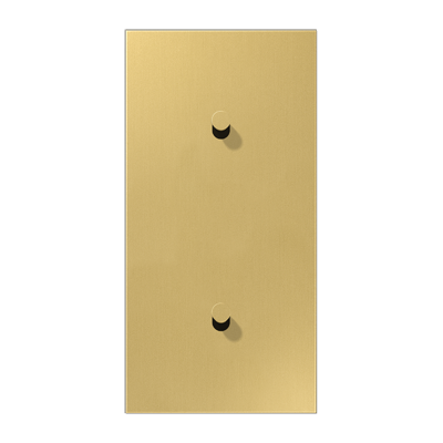 Центральная плата, 2 поста, для вертикальной установки, тумблеры 1+1, конус; металл; латунь classic; LS1912, ME12-20CK25
