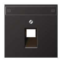 Крышка для ординарной телефонной и компютерной розетки UAE с полем для надписи, AL2969-1NAUAD Крышка для ординарной телефонной и компютерной розетки UAE с полем для надписи, AL2969-1NAUAD