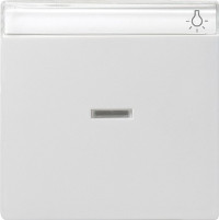 067003 Gira Одинарная клавиша с полем для надписи и подсветкой