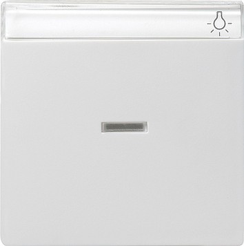 067003 Gira Одинарная клавиша с полем для надписи и подсветкой