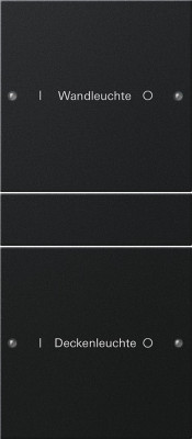 2202005 Gira Набор клавиш 1-клав.,  ГРАВИРОВКА