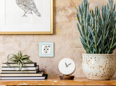 Legrand Розетка с заземлением с USB тип C - Legrand Inspiria - со шторками 16А 250В 1500мА 5В безвинтовые зажимы - белый, 673770