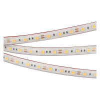 Светодиодная лента герметичная RTW-PS-B60-12mm 12V Warm3000 (14.4 W/m, IP67, 5060, 5m) (Arlight, 14.4 Вт/м, IP67), 022325(2)