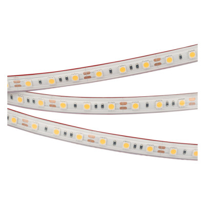 Светодиодная лента герметичная RTW-PS-B60-12mm 12V Warm3000 (14.4 W/m, IP67, 5060, 5m) (Arlight, 14.4 Вт/м, IP67), 022325(2)