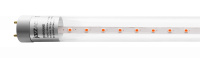 PLED T8 600 Agro 8w CL G13 ( для растений) Jazzway, 5025899 PLED T8 600 Agro 8w CL G13 ( для растений) Jazzway, 5025899