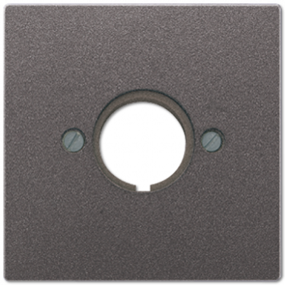 Крышка для установки специальных гнезд; антрацит, AL2964AN